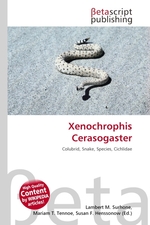 Xenochrophis Cerasogaster