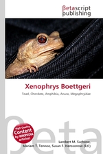 Xenophrys Boettgeri