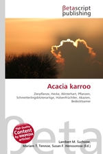 Acacia karroo