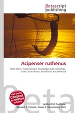 Acipenser ruthenus