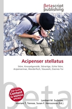 Acipenser stellatus