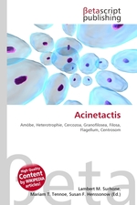 Acinetactis