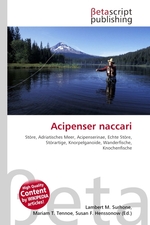 Acipenser naccari