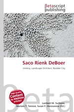 Saco Rienk DeBoer