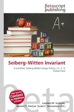 Seiberg–Witten Invariant