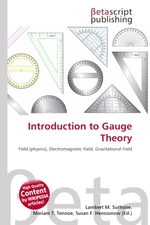 Introduction to Gauge Theory