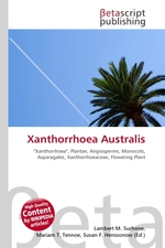 Xanthorrhoea Australis