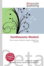 Xanthosoma Weeksii