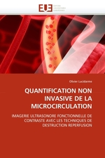 QUANTIFICATION NON INVASIVE DE LA MICROCIRCULATION. IMAGERIE ULTRASONORE FONCTIONNELLE DE CONTRASTE AVEC LES TECHNIQUES DE DESTRUCTION REPERFUSION