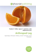 Arthropod Leg