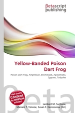 Yellow-Banded Poison Dart Frog