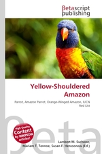 Yellow-Shouldered Amazon