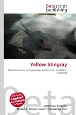 Yellow Stingray