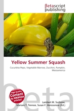 Yellow Summer Squash