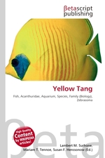 Yellow Tang