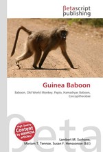 Guinea Baboon