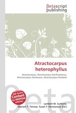 Atractocarpus heterophyllus