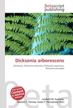 Dicksonia arborescens