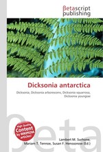 Dicksonia antarctica