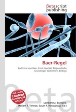 Baer-Regel