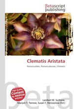 Clematis Aristata