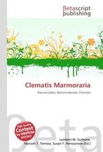 Clematis Marmoraria