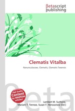 Clematis Vitalba