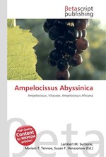 Ampelocissus Abyssinica