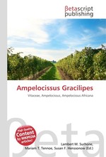 Ampelocissus Gracilipes