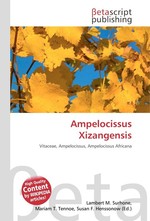 Ampelocissus Xizangensis