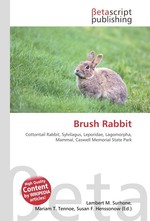 Brush Rabbit