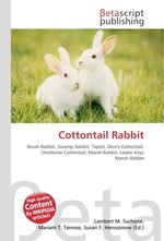 Cottontail Rabbit