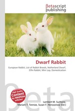 Dwarf Rabbit