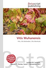 Vitis Wuhanensis