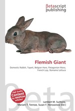 Flemish Giant