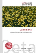 Calceolaria