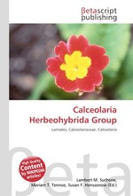 Calceolaria Herbeohybrida Group