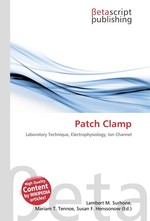 Patch Clamp