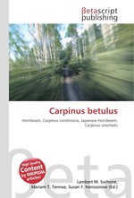 Carpinus betulus