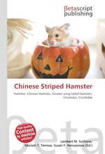 Chinese Striped Hamster