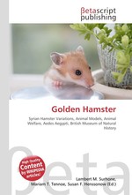 Golden Hamster