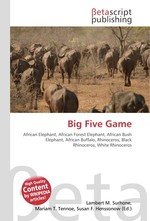 Big Five Game