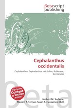 Cephalanthus occidentalis