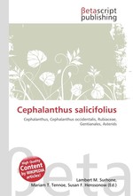 Cephalanthus salicifolius