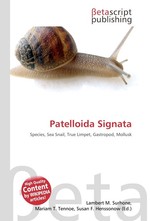 Patelloida Signata