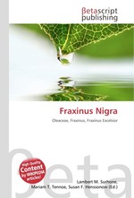 Fraxinus Nigra