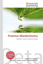 Fraxinus Mandschurica