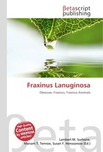 Fraxinus Lanuginosa