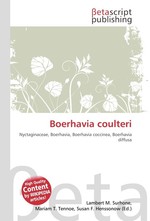 Boerhavia coulteri