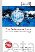 True Performance Index